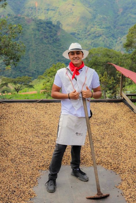 Guía de D'Arrieros con un rastrillo en el patio de secado de café